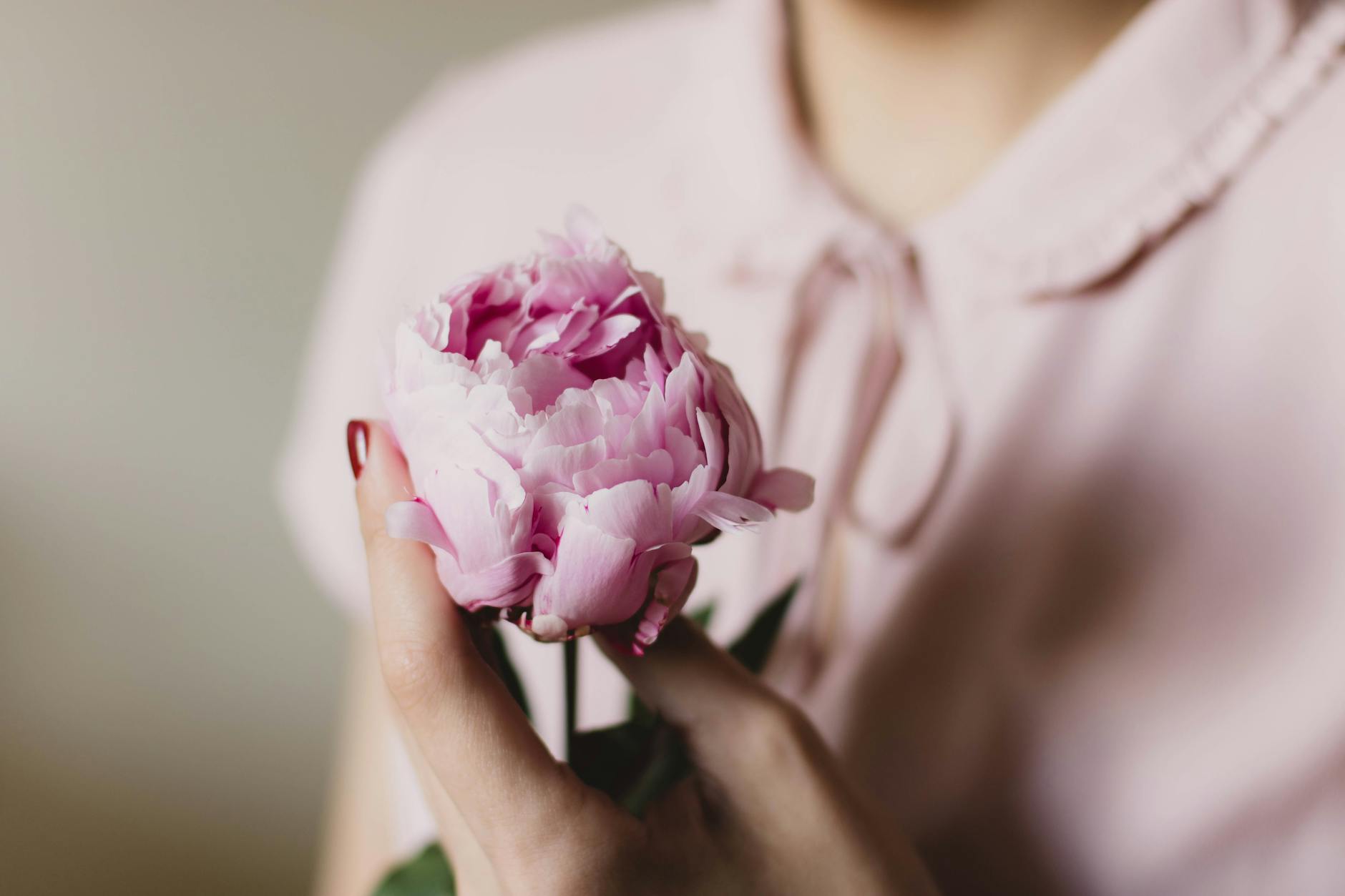 A flower in bloom, symbolizing women's health and wellness.